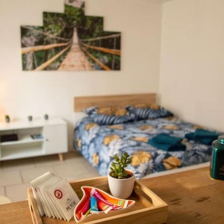 Studio Cosy Tv Wifi Confortable Et Chaleureux Gaillon Экстерьер фото